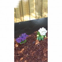 14373 - edge barrier in-situ